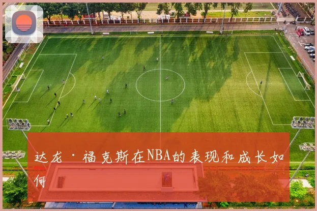 达龙·福克斯在NBA的表现和成长如何