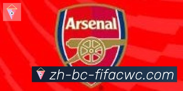 世界杯在线观看合作伙伴