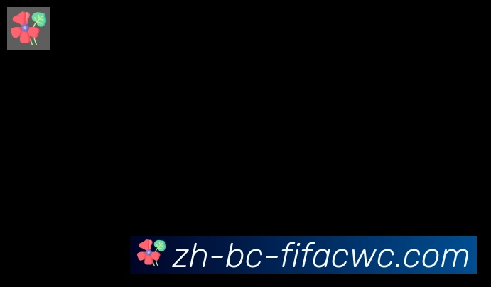 世界杯在线观看合作伙伴
